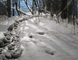 The Successes of 2014 Are Leading Pastel Painter Linda Gross Brown and...