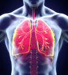 World Patent Marketing Offers Revolutionary Lung Healing Program Based...