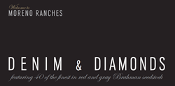 Red and Brahman Cattle for Sale in Texas - Denim & Diamonds