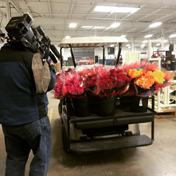 CEO delivers roses to employees via golf cart