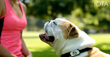 Iotera Raises $1M to Deliver Wireless Pet Tracking Solution With No...