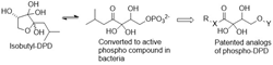 Chemical diagrams of the compounds patented by UMD to inhibit formation of biofilms.