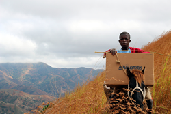 Haiti Aquatabs
