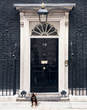 70% of Brits would prefer a dog running the country over Cameron or...