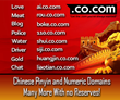 Chinese Pinyin and Number Domain Names Offered at No Reserve on...