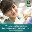 Operation Catnip: Training veterinarians to save America&#39;s community cats