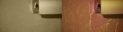 Standard SDFI Camera System & Contrast SDFI Camera System