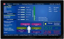 Cybernet HN24 Fanless All-in-One Medical Computer