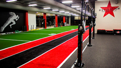 SpeedTurf agility turf