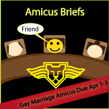 Gay Marriage Amicus Brief Printing