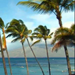 New Maui Webcam Features Live View Near Kamaole Beach in Kihei