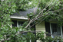 storm-wind-damage