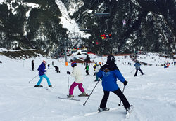 Halsbury Ski