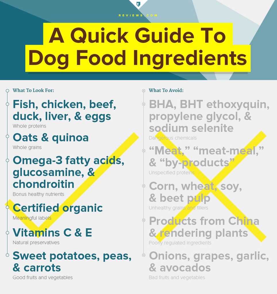 New Research Shows 70 Of Dog Owners Unaware Of Potentially Harmful 