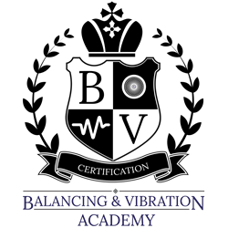 Online Balancing Training
