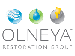 Olneya Restoration Group