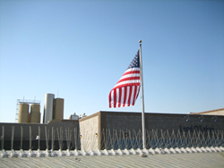 stainless steel bird spikes