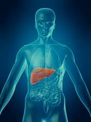Liver Failure Pipeline Assessment