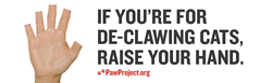 Paw Project Billboard