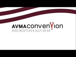 AVMA Boston Logo