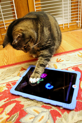 Cat Playing Video Games