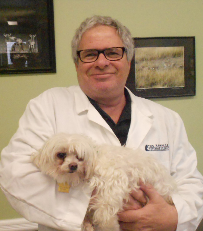 New Jersey Veterinarian Receives National Award from Pets Best