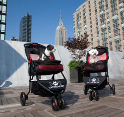 Dog Stroller