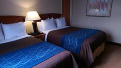 Brooklyn Hotel, Comfort Inn Brooklyn, Brooklyn Accommodations