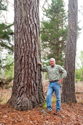 John Boutwell near large tree