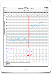 BBT and cervical mucus chart