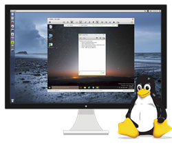 Remote support for Linux