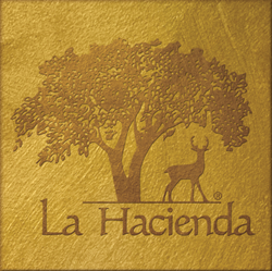 La Hacienda Drug and Alcohol Treatment Center Logo