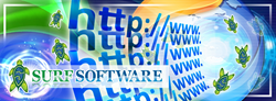 Software patent for the internet
