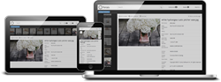 All new HTML5 responsive technology from Canto - the leaders in DAM.