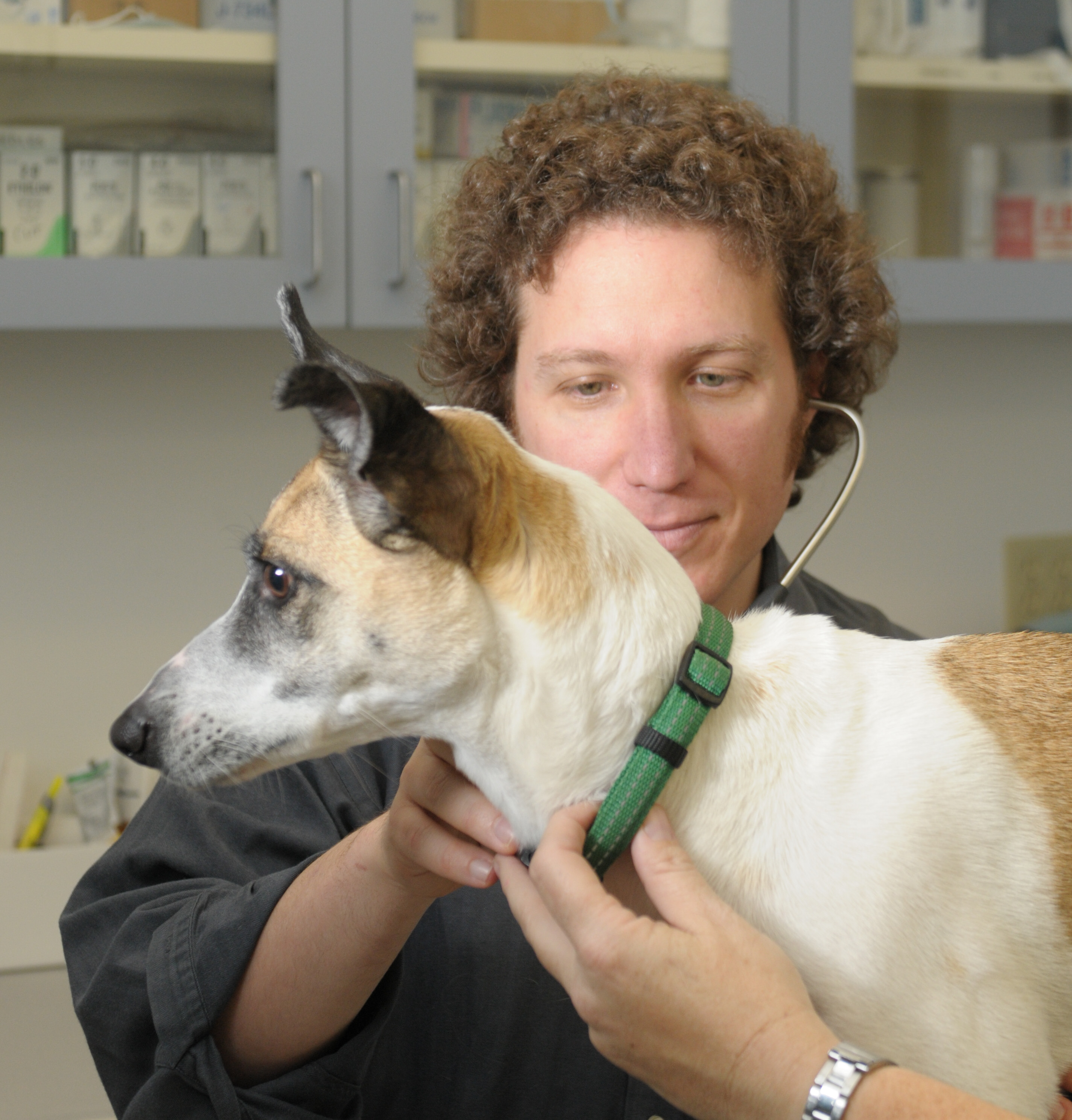 Dr. Gary Richter, Oakland Holistic Veterinarian, Reaches Top 10 for