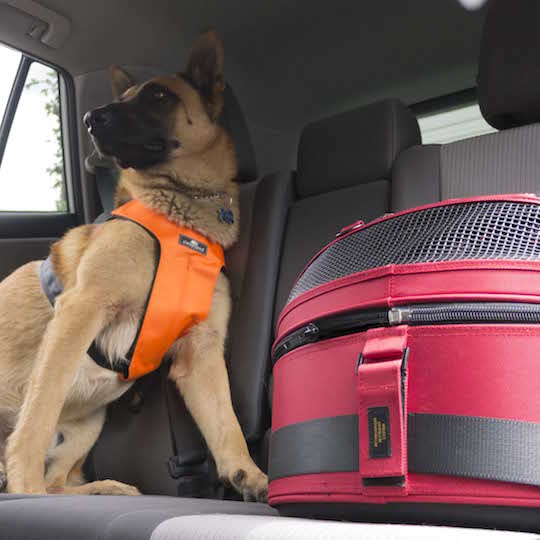 Sleepypod Mobile Pet Bed with PPRS Handilock is a Top Performer in Landmark  Study by Subaru and the Center for Pet Safety