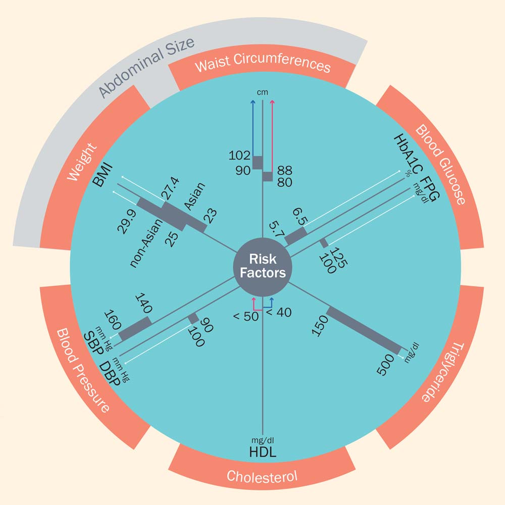 Metabolic Syndrome assessment at a glance