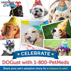 PetMeds Cares DOGust Birthday Sweepstakes