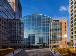 Blue Horseshoe's New Amsterdam Office