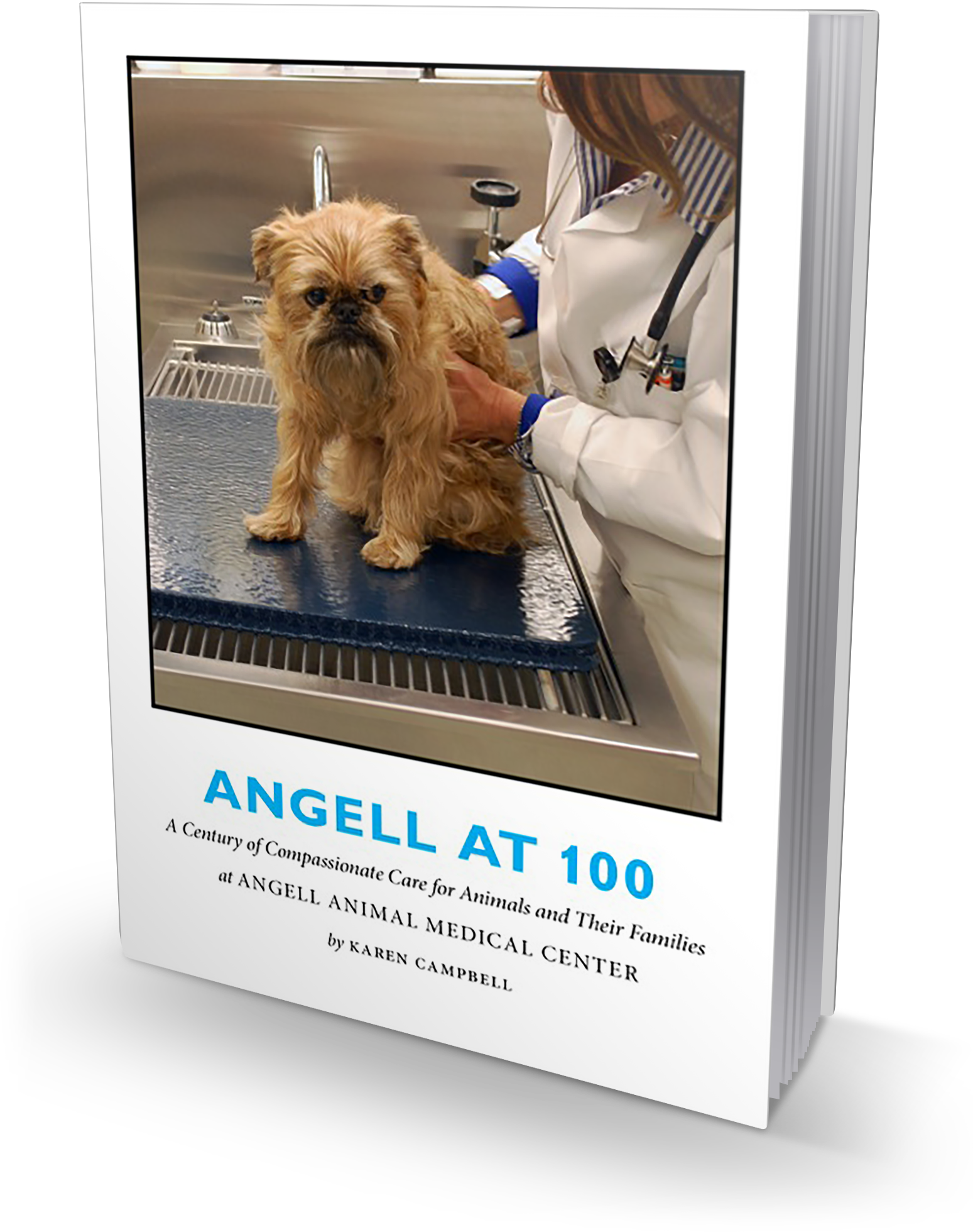 Karen Campbell and the Veterinarians of Angell Animal Medical Center