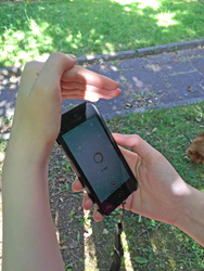 Cup your hand around the top of your phone to act as a windshield when you are recording.