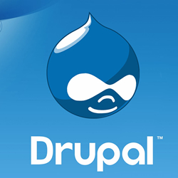 drupal hosting best