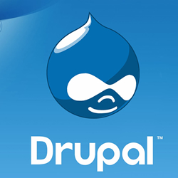 drupal hosting provider