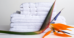 cariloha-bamboo-towels