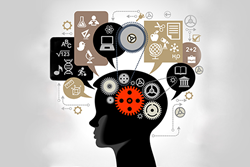 Carnegie Council Online Education Section. Photo Credit: Shutterstock