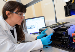 Operator checking a sample plate ahead of testing on the RenDx system