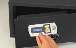 Fast Acess Biometric Safe