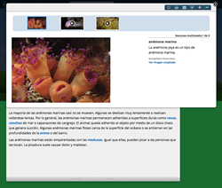 Britannica Escolar Online