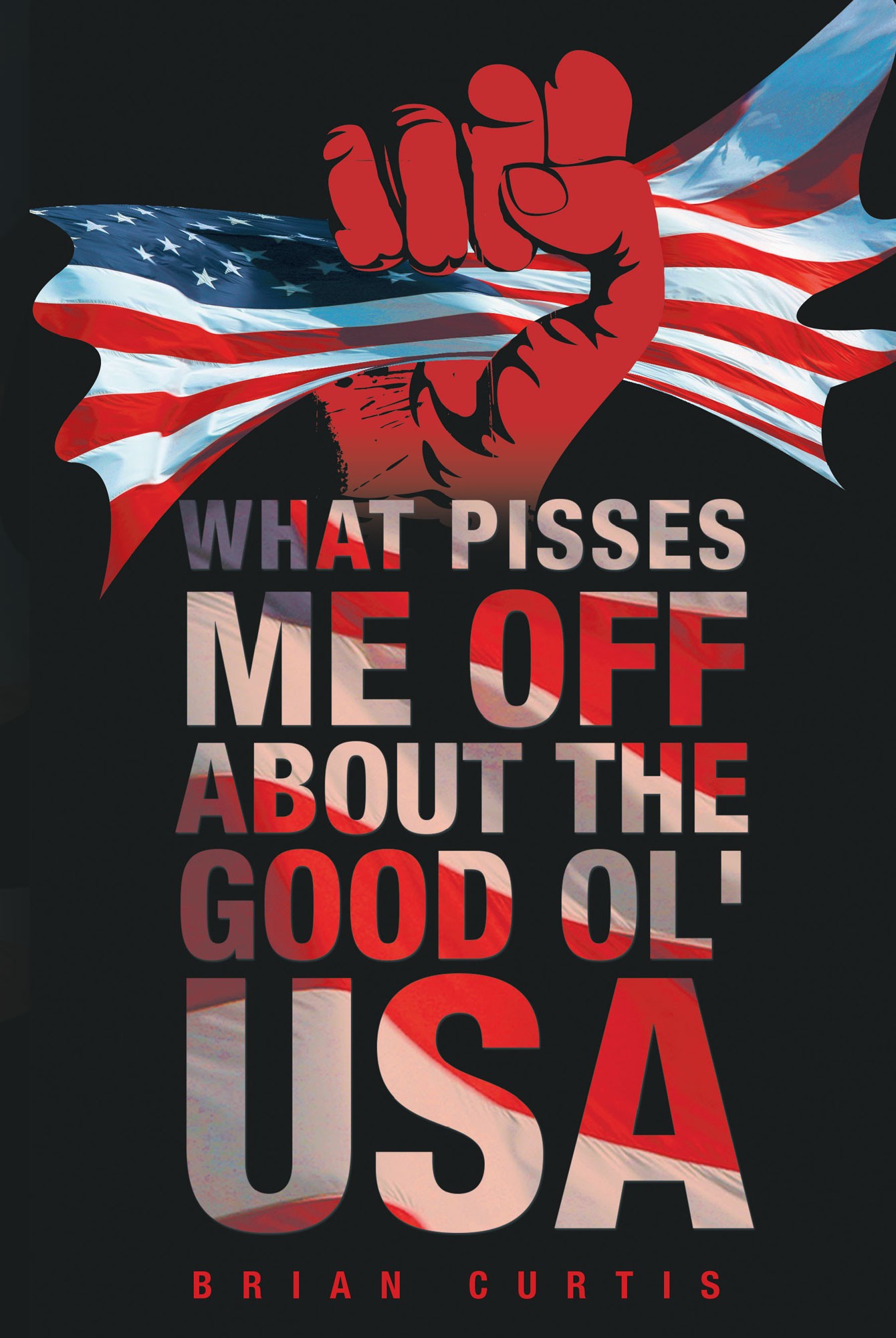 Brian Curtiss New Book “what Pisses Me Off About The Good Ol Usa” Is 