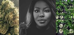 Charlo Greene